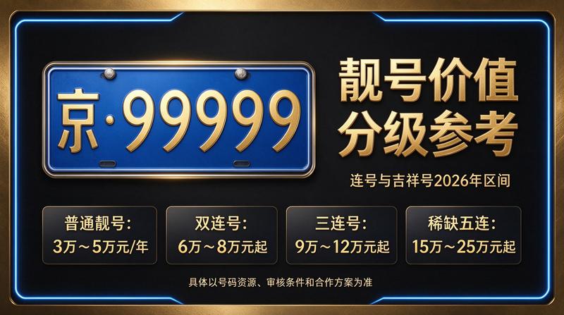 闲置车牌指标展示图